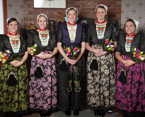 Tulip-Feature-2014-court-495x400