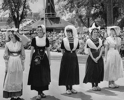 Tulip-Feature-court-reunion495x400