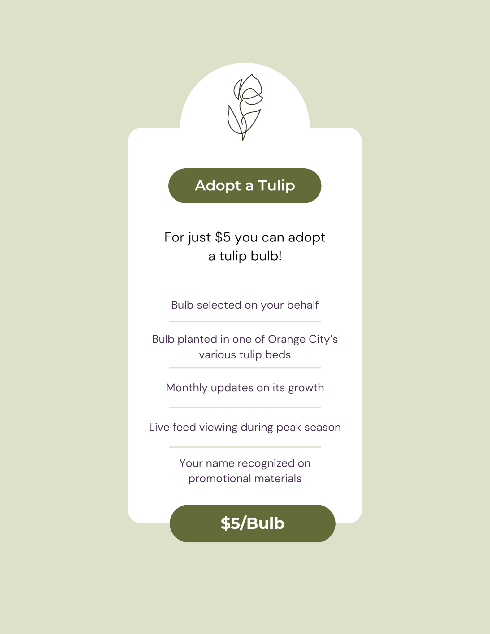 Vision Plan for Adopt a Tulip