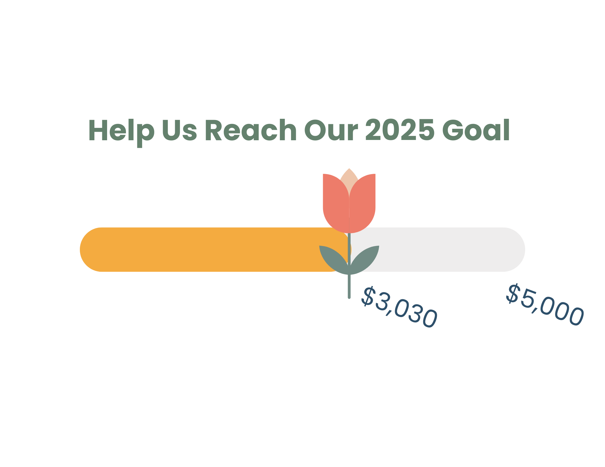 Adopt a Tulip Certificate